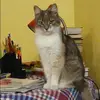 Отзыв от Лилия Матвеева